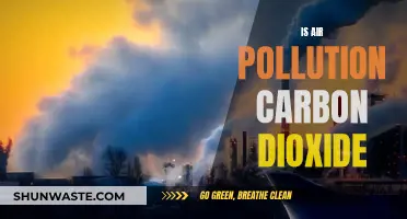 Air Pollution: Is Carbon Dioxide the Main Culprit?