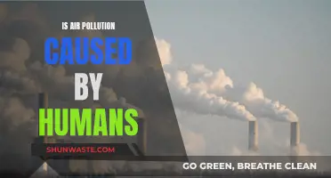 Human Impact: Unveiling the True Source of Air Pollution