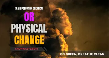 Air Pollution: Chemical vs Physical Change