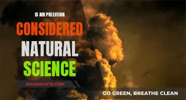Air Pollution: Natural Science or Human Impact?