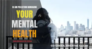 Air Pollution's Mental Health Impact: What You Need to Know