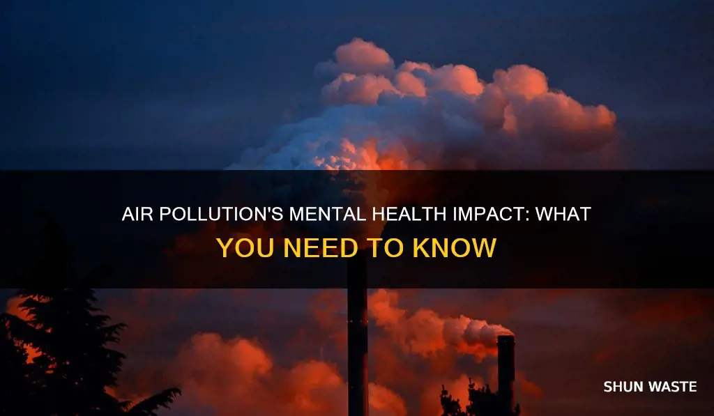 is air pollution damaging your mental health
