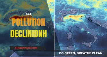 Air Pollution: A Declining Global Threat?