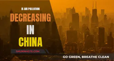 Air Pollution in China: A Declining Trend?