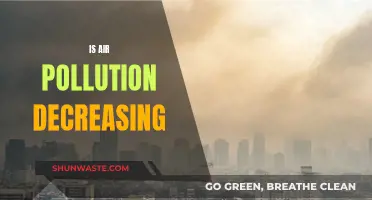 Air Pollution: A Decreasing Global Threat?