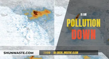 Air Pollution: A Declining Global Threat?