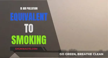Air Pollution: The Silent Cigarette?