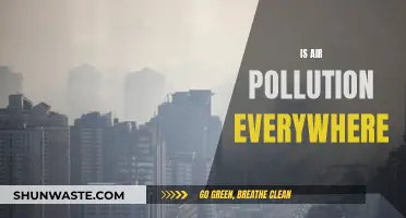 Air Pollution's Global Reach: Is Anywhere Safe?