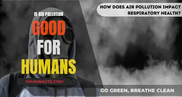 Air Pollution: Friend or Foe to Human Health?