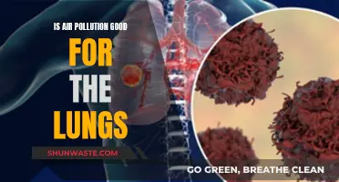 Air Pollution: Friend or Foe to Our Lungs?