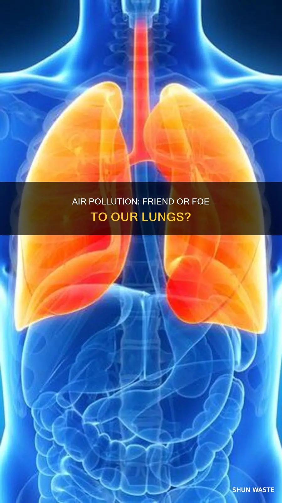 is air pollution good for the lungs
