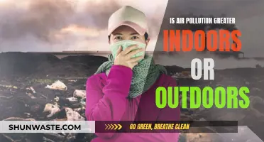 Air Pollution: Where is it Worse?