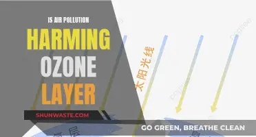 Air Pollution: Ozone Layer's Foe?
