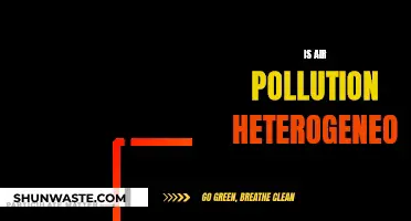 Air Pollution: A Complex and Varied Challenge