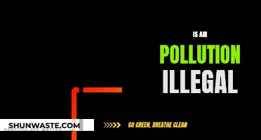 Air Pollution: A Legal Hazard?