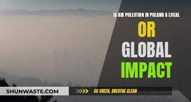 Air Pollution in Poland: Global Impact, Local Problem