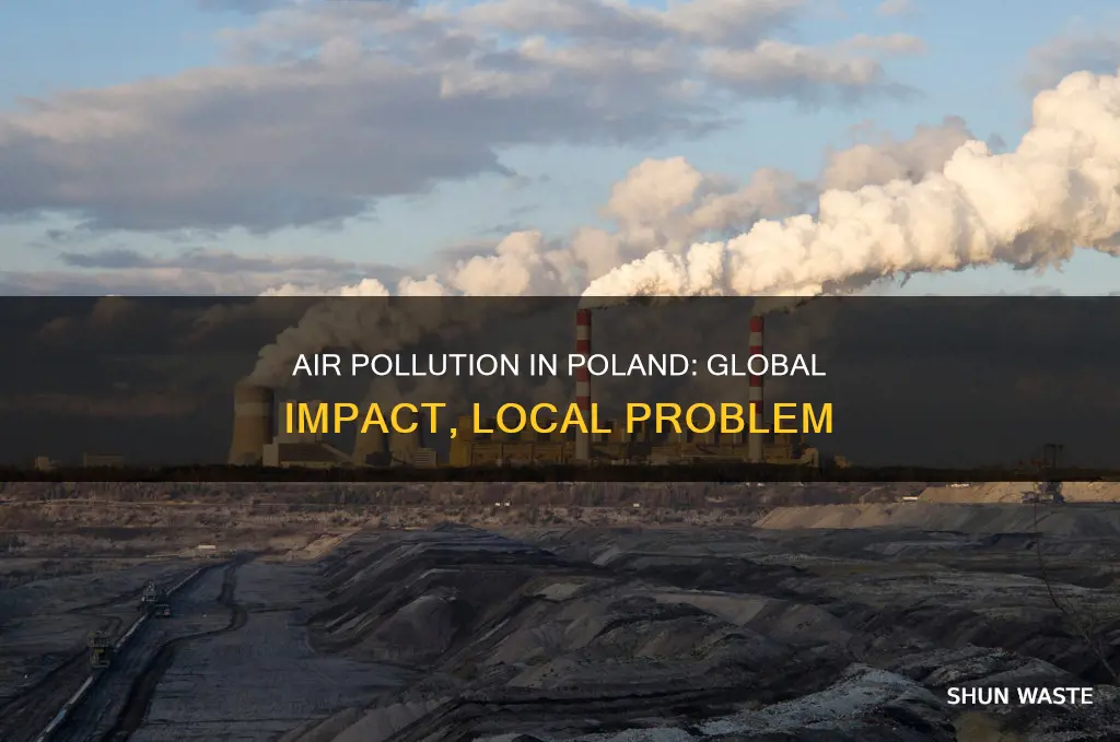 is air pollution in poland a local or global impact