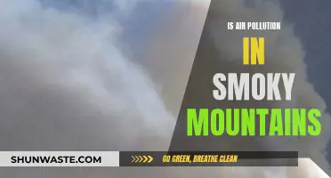 Smoky Mountains: Air Pollution's Impact on Nature's Beauty