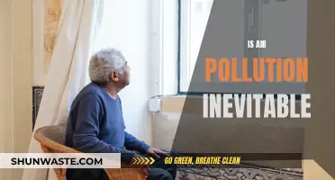 Air Pollution: An Inevitable Consequence of Modern Life?