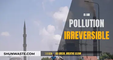 Air Pollution: Can We Ever Undo the Damage?