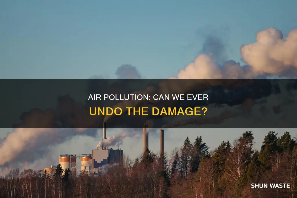 is air pollution irreversible