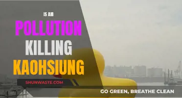 Kaohsiung's Air Pollution: A City Under Threat