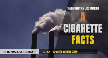 Air Pollution vs Smoking: Facts and Health Risks