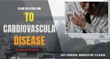 Air Pollution's Cardiovascular Impact: Understanding the Link