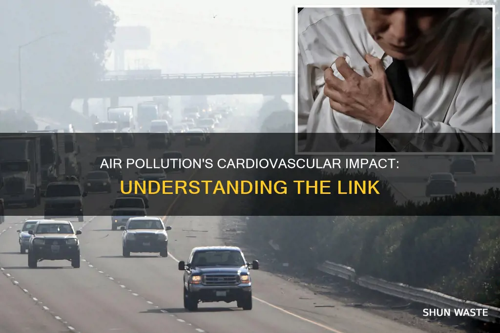 is air pollution link to cardiovascular disease
