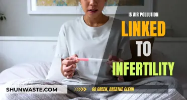 Air Pollution's Impact: Infertility and Health Risks