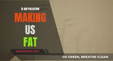 Air Pollution's Surprising Impact: Are We Getting Fat?