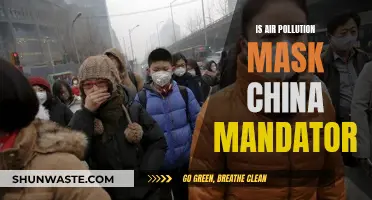 China's Air Pollution: Masks, a Necessary Evil?