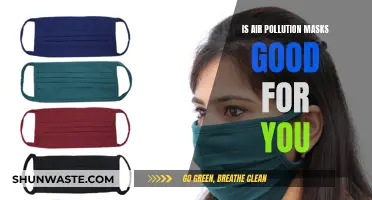 Air Pollution Masks: Helpful or Hindrance?