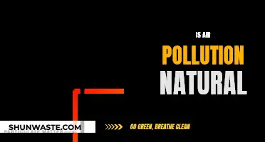 Air Pollution: Nature's Fury or Human Error?