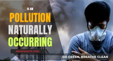 Air Pollution: Nature's Fury or Human Error?