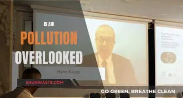 Air Pollution: The Overlooked Crisis