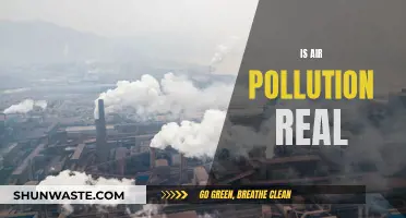 Air Pollution: A Real Threat or Imaginary Fear?