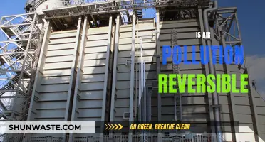 Can We Reverse Air Pollution Damage?