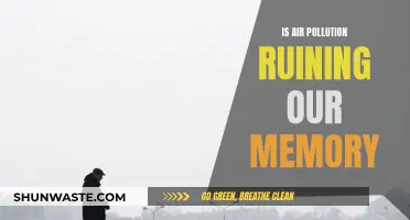 Air Pollution: Harming Our Health and Memory