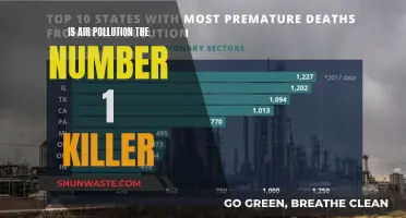 Air Pollution: A Silent, Deadly Threat?