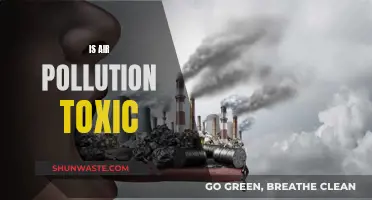 Air Pollution: A Toxic Threat to Our Health