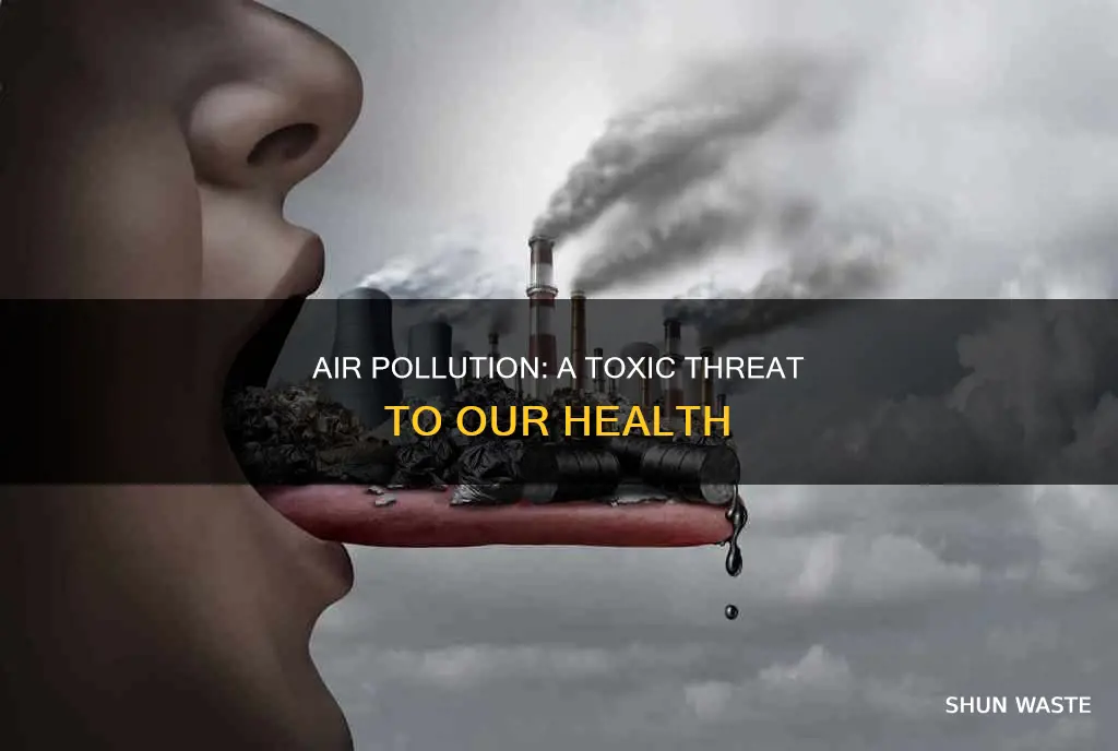 is air pollution toxic