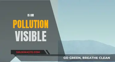 Air Pollution: The Invisible Danger?