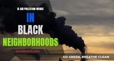 Air Pollution's Racial Divide: Black Neighborhoods Suffer More