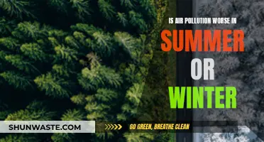 Air Pollution: Summer vs. Winter — Which is Worse?