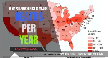 Air Pollution: A Silent Killer, Millions Dead