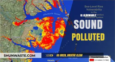 Albemarle Sound: A Polluted Paradise?