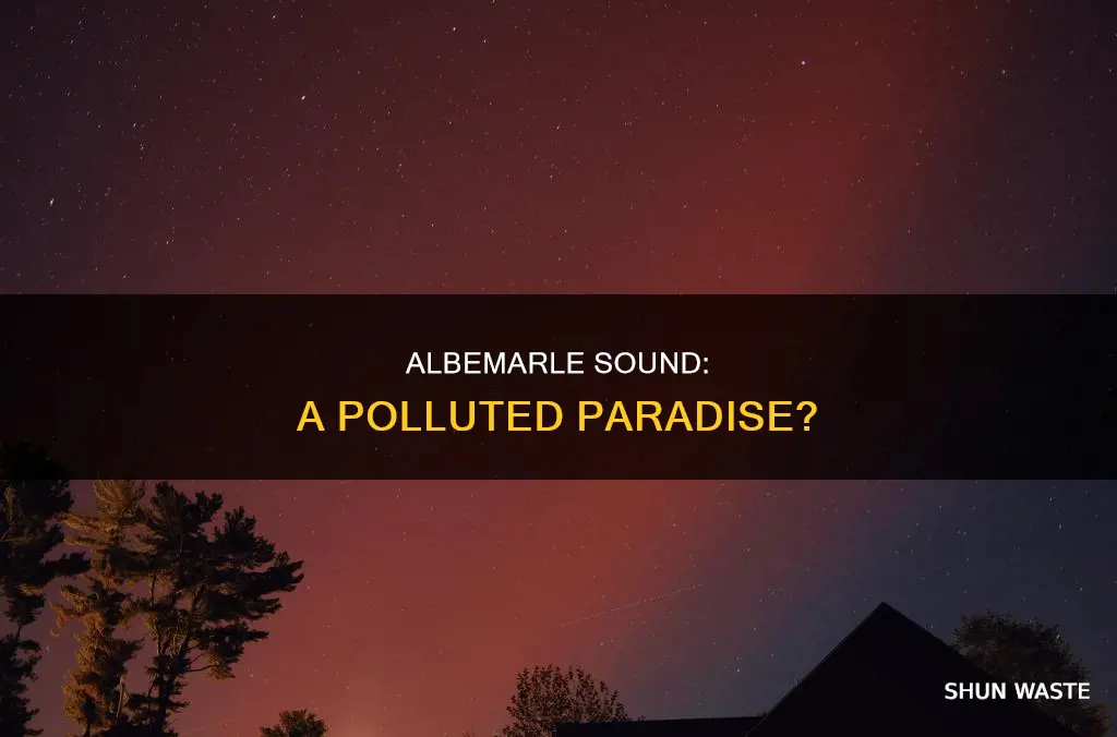 is albemarle sound polluted
