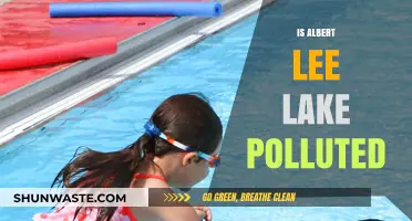 Albert Lee Lake: Is It Polluted?