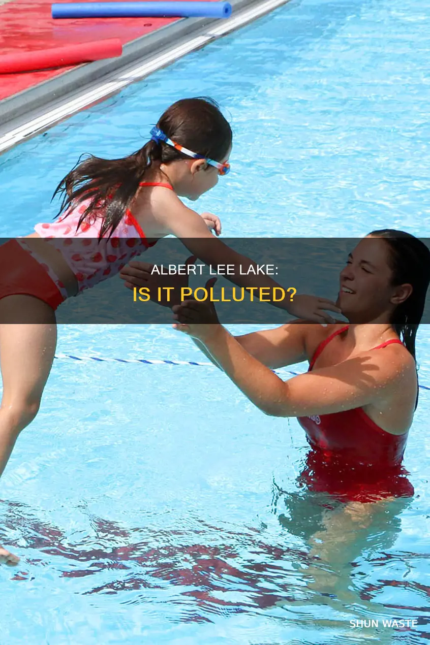 is albert lee lake polluted